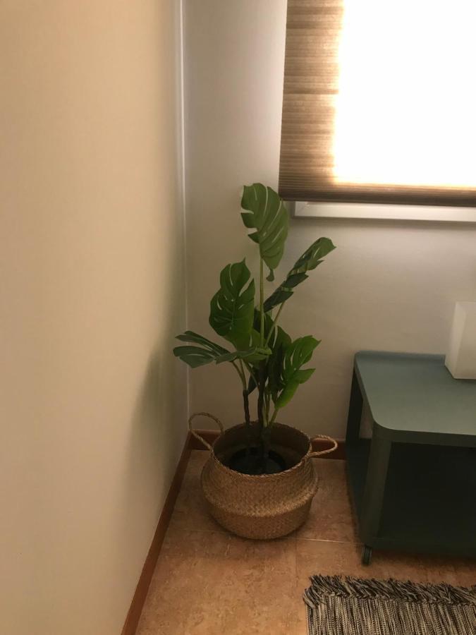 Apartamento Recien Reformado Con Vistas Al Rio 巴拉格尔 外观 照片